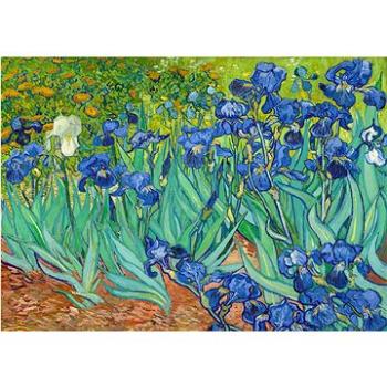 Enjoy Vincent Van Gogh: Kosatce 1000 dílků (1185)