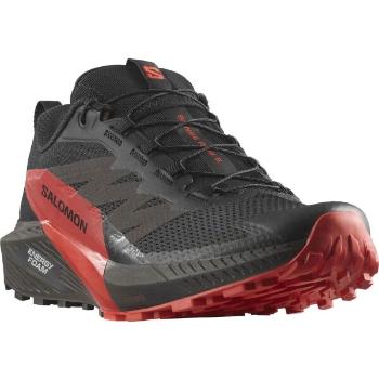 Salomon SENSE RIDE 5 Pánská trailová obuv, černá, velikost 41 1/3