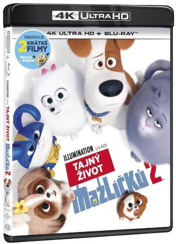 Tajný život mazlíčků 2 (4K ULTRA HD + BLU-RAY) (2 BLU-RAY)