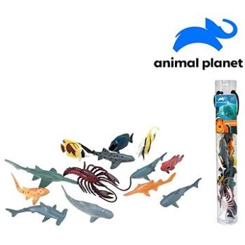 Zvířátka v tubě - mořská, 5 - 12 cm, mobilní aplikace pro zobrazení zvířátek, 13 ks (8590756075473)