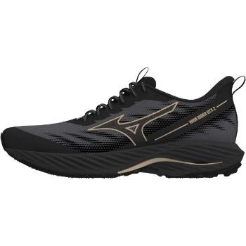 Mizuno WAVE RIDER GTX 2 W Dámská běžecká obuv, černá, velikost 38