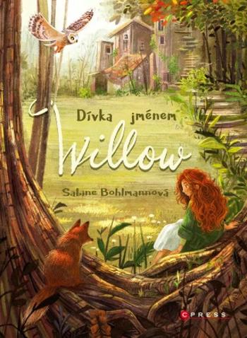 Dívka jménem Willow - Sabine Bohlmannová - e-kniha