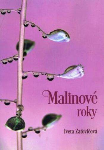 Malinové roky - Iveta Zaťovičová