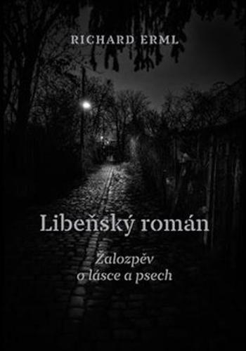 Libeňský román - Erml Richard