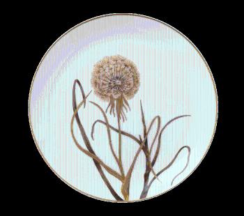 Květinový talíř s pampeliškou, 27 cm - Royal Copenhagen