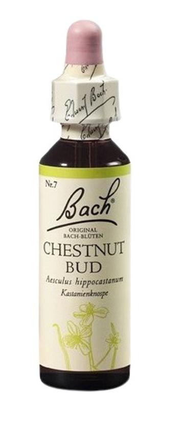 Dr. Bach Chestnut Bud 20 ml