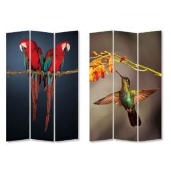 Paravan Twin Parrot vs Cute Colibri 180 × 120 cm