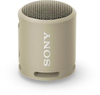 SONY SRS-XB13C Lehký a kompaktní Sony Bluetooth bezdrátový reproduktor, Grey-Brown