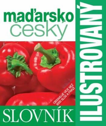 Ilustrovaný maďarsko-český slovník