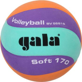 GALA SOFT 170 BV 5681 SC Volejbalový míč, fialová, velikost 5