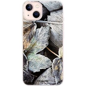 iSaprio Old Leaves 01 pro iPhone 13 (oldle01-TPU3-i13)