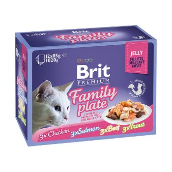Brit Premium Cat Delicate Fillets v želé Family Plate 1020g (12x85g)