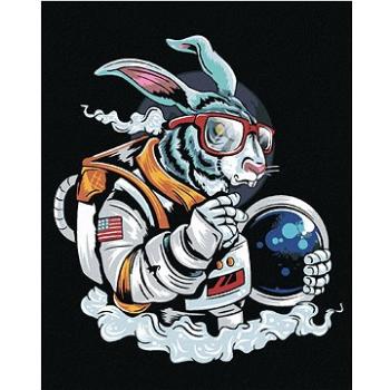 Králík kosmonaut, 80×100 cm, vypnuté plátno na rám (6055893)