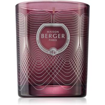 Maison Berger Paris Molécule Plum vonná svíčka Underneath The Magnolias 240 g