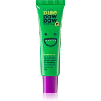 Pure Paw Paw Watermelon balzám na rty a suchá místa 15 g