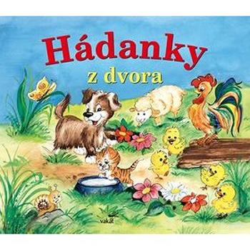 Hádanky z dvora (978-80-7267-486-2)