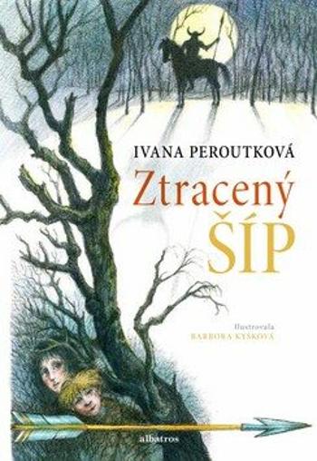 Ztracený šíp - Ivana Peroutková