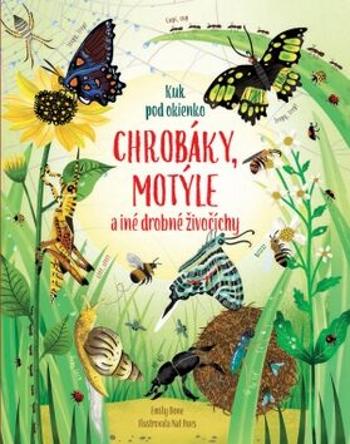 Chrobáky, motýle a iné drobné živočíchy - Emily Bone, Nat Hues