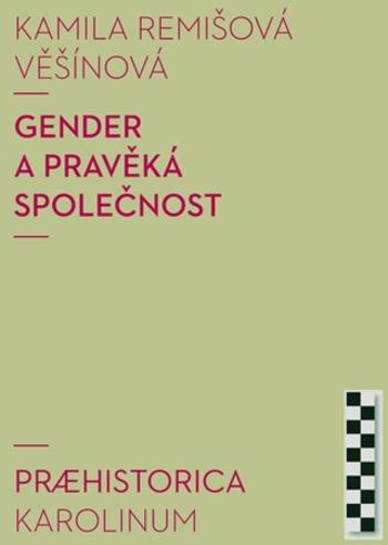 Gender a pravěká společnost - Kamila Remišová Věšínová - e-kniha