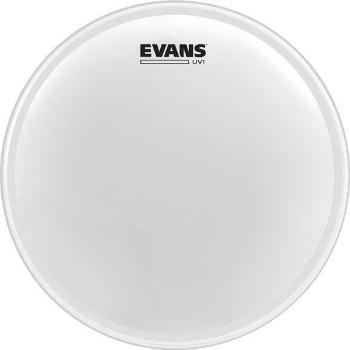 Evans B12UV1 UV1 Coated 12" Blána na buben