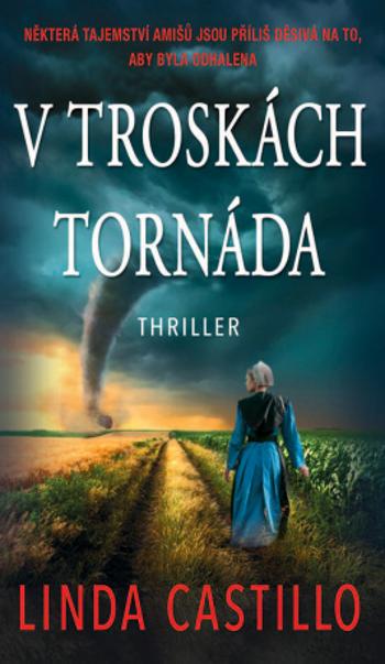 V troskách tornáda - Linda Castillo - e-kniha