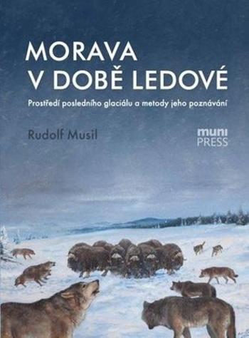 Morava v době ledové - Musil Rudolf