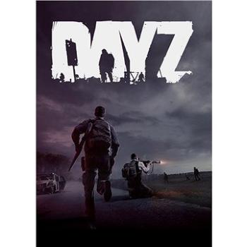 DayZ - PC DIGITAL (817624)