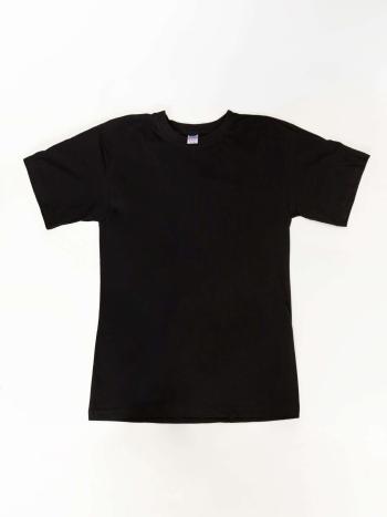 ČERNÉ PÁNSKÉ BASIC BAVLNĚNÉ TRIČKO BR-TS-1005.30-BLACK Velikost: 2XL