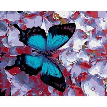 Malování podle čísel - Modrý motýl a kvítka (HRAmal00134nad)