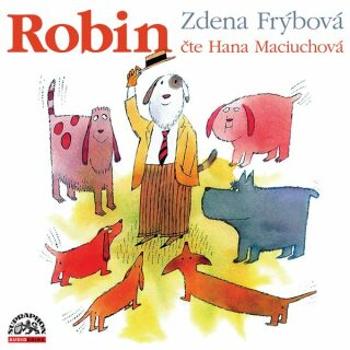 Robin - Zdena Frýbová - audiokniha