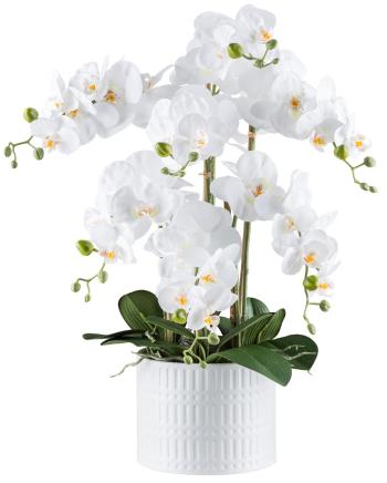 Gasper Umělá orchidej v keramickém květináči, 60 cm, bílá