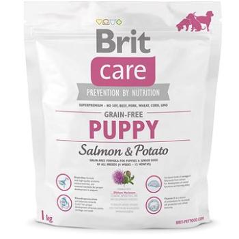 Brit Care grain-free puppy salmon & potato 1 kg (8595602510078)