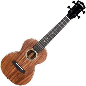 Cascha HH2310 Natural Koncertní ukulele