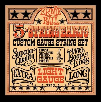 Ernie Ball Stainless Steel Banjo Light