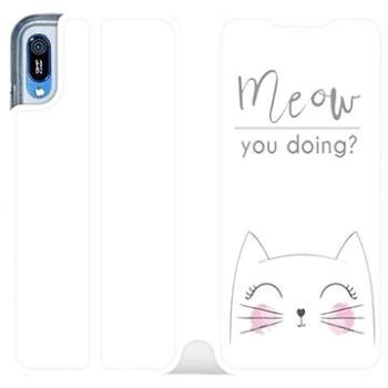 Flipové pouzdro na mobil Huawei Y6 2019 - M098P Meow you doing? (5903226884612)