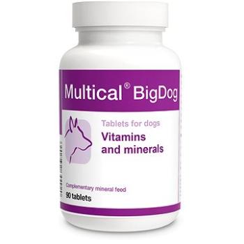 Dolfos Multical BigDog 90 tbl. - vitamíny a minerály pro velká plemena psů (901020)