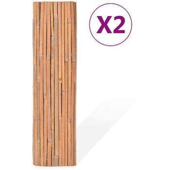 Bambusové ploty 2 ks 100×400 cm 3057515