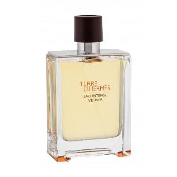 Hermes Terre d´Hermès Eau Intense Vétiver 100 ml parfémovaná voda pro muže