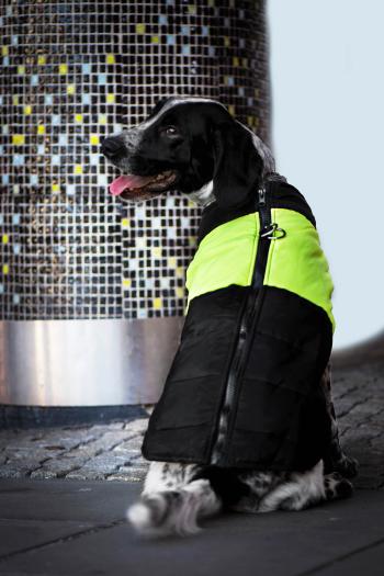 Vsepropejska Slim-rainy obleček pro psa na zip Barva: Černo-žlutá, Délka zad (cm): 39, Obvod hrudníku: 45 - 50 cm