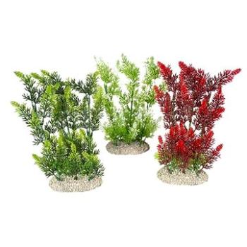 Ebi Aqua Della Elodea Densa zelená nebo červená 25 cm 1 ks (4047059458488)