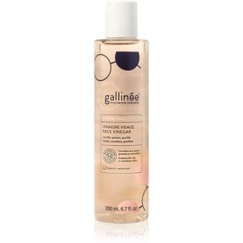 Gallinée SKIN CARE Face Vinegar pleťové tonikum s hydratačním účinkem 200 ml