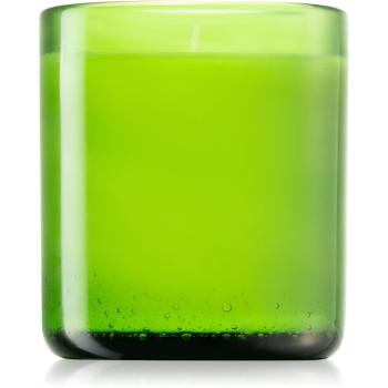 Designers Guild Green Fig Glass vonná svíčka 220 g