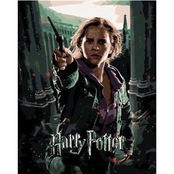 Plakát Harry Potter a relikvie smrti Hermiona, 40×50 cm, vypnuté plátno na rám (6066631)