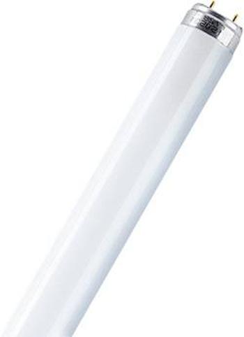 Zářivka Osram, 18 W, G13, 590 mm, studená bílá