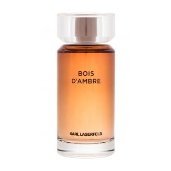 Karl Lagerfeld Les Parfums Matières Bois d'Ambre 100 ml toaletní voda pro muže