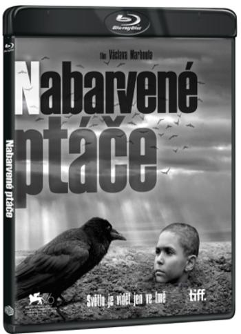 Nabarvené ptáče - BLU-RAY