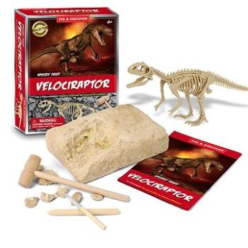 Velociraptor Dinosaur Toy Fosilní výkopová sada (D7141)