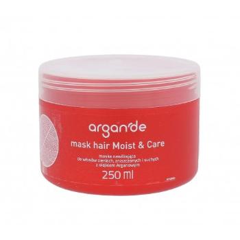 Stapiz Argan De Moist & Care 250 ml maska na vlasy pro ženy na všechny typy vlasů