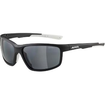 Alpina Sports DEFEY Sluneční brýle, černá, velikost UNI