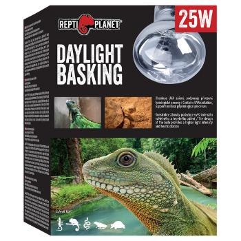 Repti Planet žárovka Daylight Basking Spot 25W